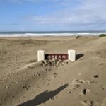 the-california-effect