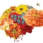 lessons-from-the-badass-muscular-neurobiologist