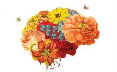 lessons-from-the-badass-muscular-neurobiologist