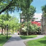 moody’s-cuts-brown-university-outlook-to-negative,-citing-$1.7-billion-debt-load
